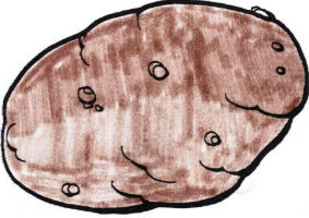 patate